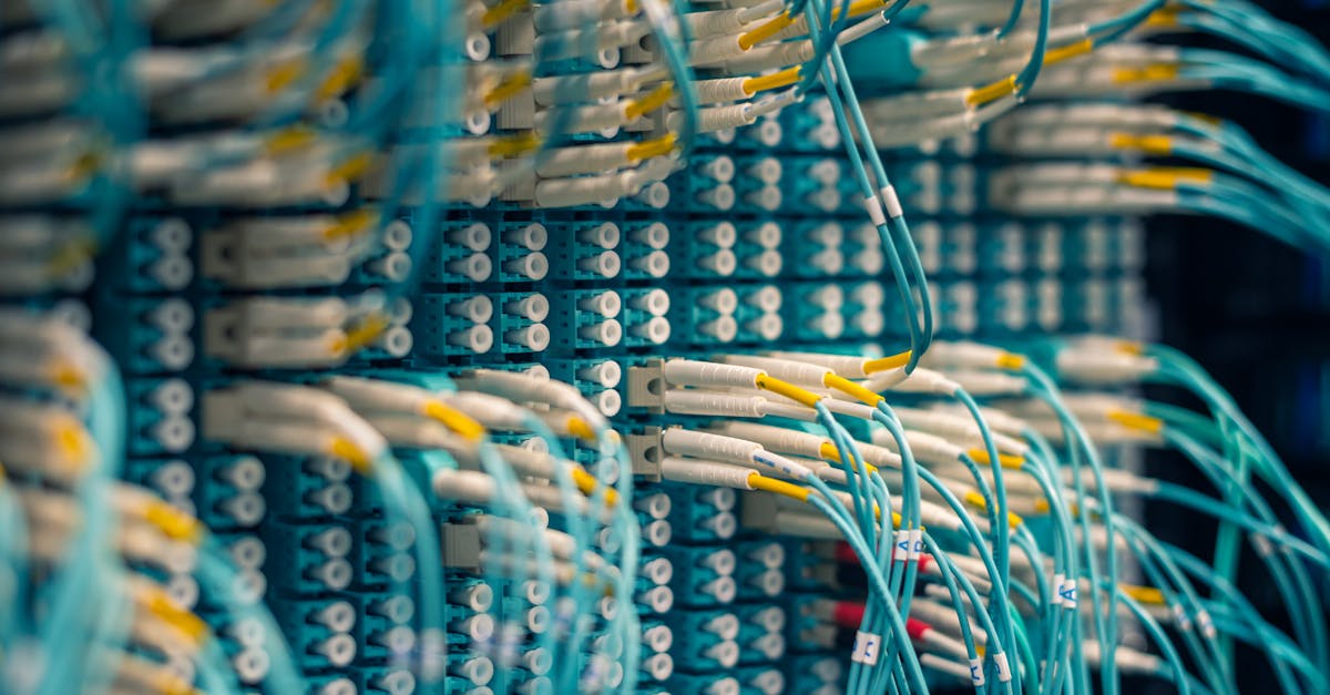 Closeup of rows of tiny round white electrical connectors and long thin blue wires in data center